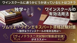 【2026年最新版】ヴィノテラス二次試験対策レビュー｜元受講生が正直解説