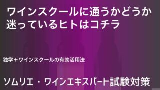 ソムリエ・ワインエキスパート資格試験対策〜独学＆ワインスクールの有効活用は【ヴィノテラス二次試験対策厳選受講】がオススメ〜